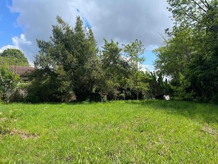 vente terrain à batir 1297 m²