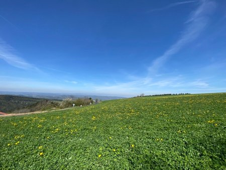 terrain à bâtir à saint-just-malmont (43240)