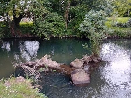 terrain en bordure de riviere 1ère catégorie (89)