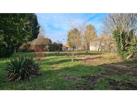 terrain constructible arboré de 1041 m²