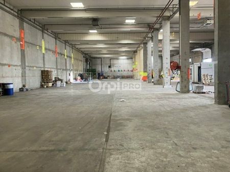 local logistique 3 000 m²