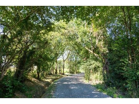 terrain dans un cadre naturel exceptionnel