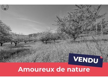 terrain 33100 m² pierrefitte-sur-aire