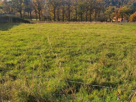 a vendre terrain constructible 1355 m²■terrain situé à sauviat limite courpière