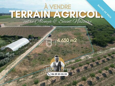 terrain 4630 m² alenya