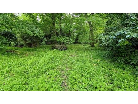 terrain de loisirs 2500m2 très proche gare et seine. 33min de paris