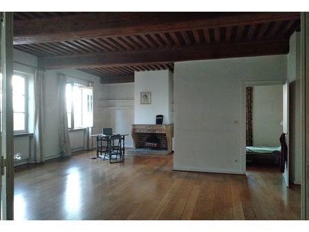 appartement t7 duplex 150m² (105m² carrez) bas croix-rousse  vue rhône & cité internationa