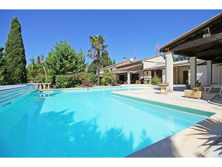 beau domaine avec piscine  gîte et joli jardin près de bram