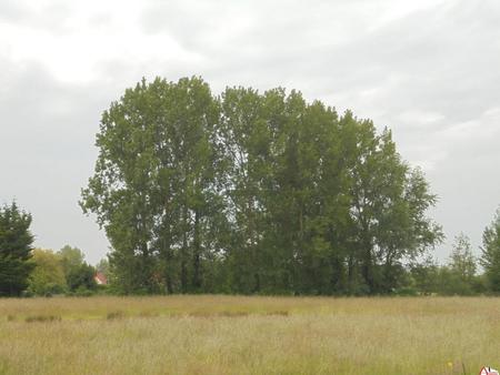 terrain - 1400m ²