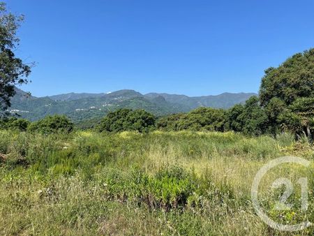 terrain à vendre - 8142 m2 - santa lucia di moriani - 202 - corse