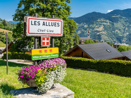 fonds de commerce et murs de ce bar restaurant bien établi - vallée de méribel