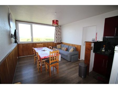 appartement 2 pièces - 31m² - besse et st anastaise