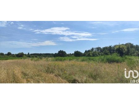 vente terrain agricole de 37 258 m² à ouzouer