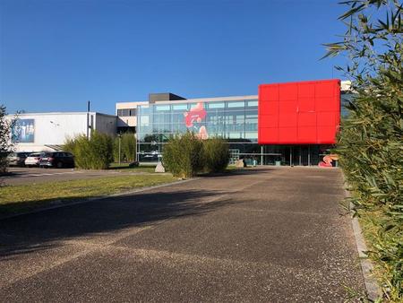 entrepôt à vendre de 11 656 m² à illkirch-graffenstaden - 67400