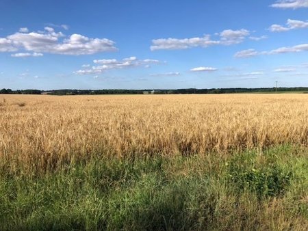 terrain à bâtir à coussay-les-bois (86270)