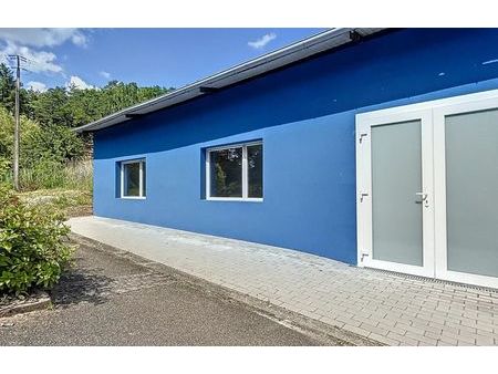 location commerce 1 pièce 38 m² philippsbourg (57230)