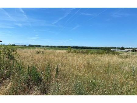 vente terrain 1313 m² saverdun (09700)