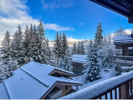 jolie ski chalet de 6 chambres avec accès direct au piste de la tania  courchevel  3 vallé