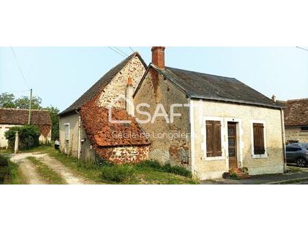 2 maisons dans village - investisseurs - jardin