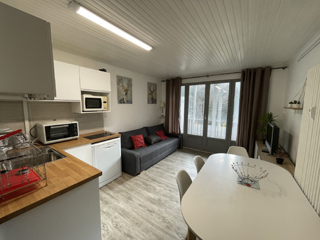 appartement 1 pièce - 29m² - laveissiere