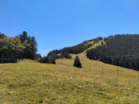 refuge climatique dans collectif