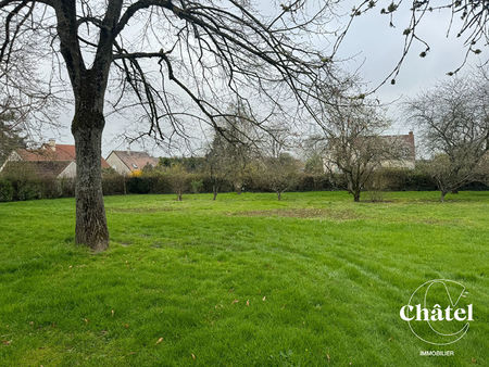 terrain à bâtir senlis est - arboré - non viabilisé