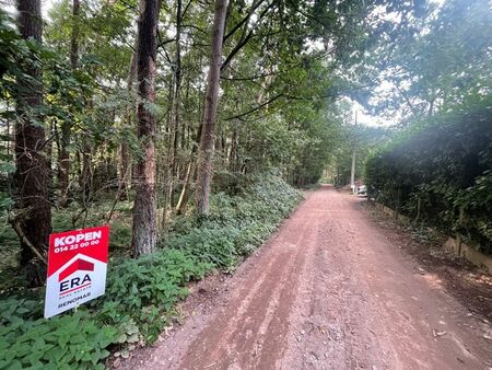 bosgrond (6120m²) aan zandweg te vorselaar