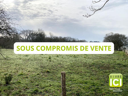 vente terrain à rouans (44640) : à vendre / 2160m² rouans