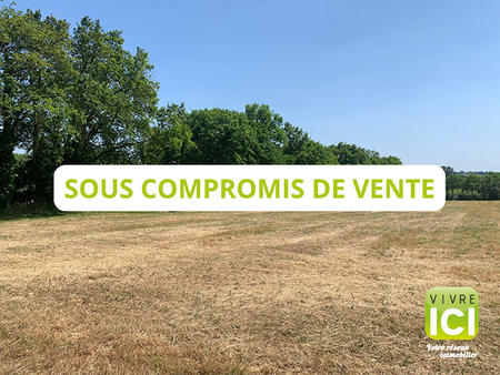 vente terrain à rouans (44640) : à vendre / 2400m² rouans