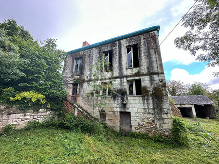 ancien relais de poste la menitre 12 pièce(s) 400 m2