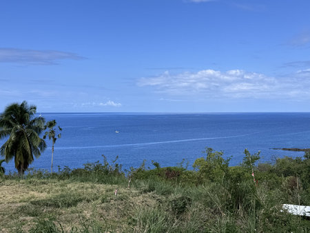 terrains vue mer panoramique