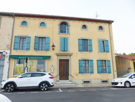 belle maison au coeur de caunes-minervois. spacieuse  idéale pour chambres d'hôtes  avec p