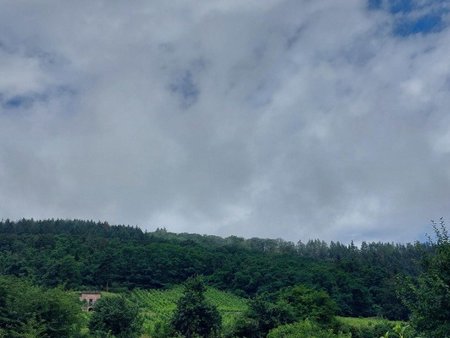 terrain à bâtir à châtenois (67730)