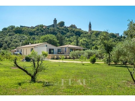 maison de luxe à vendre à castillon-du-gard