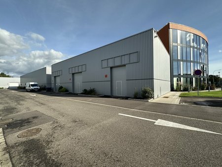 location d'entrepôt de 495 m² à bischheim - 67800