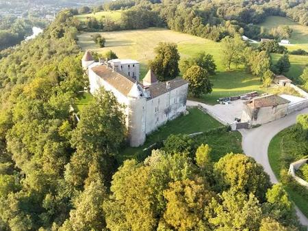 château du xive siècle  à pont-d& 039 ain  20 pièces  dont plusieurs grandes salles de...