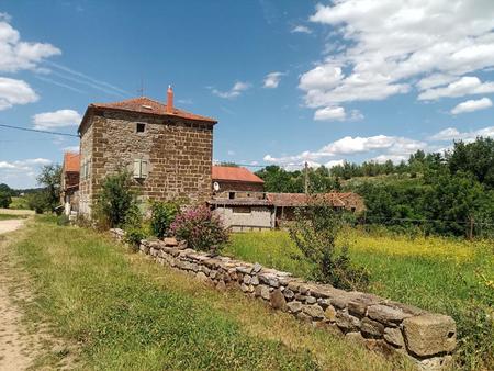 langeac (43)  ensemble immobilier habitation + bâtiments agricoles sur 4400 m2 de terrain