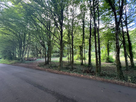 terrain sarlat la caneda 3387 m2