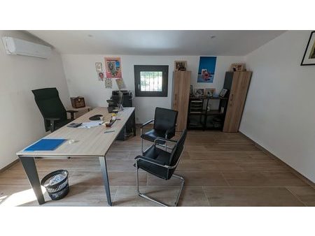 vente locaux professionnels 240 m²