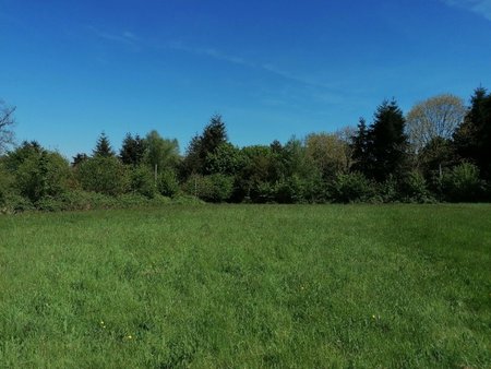 terrain à bâtir à sainte-opportune (61100)