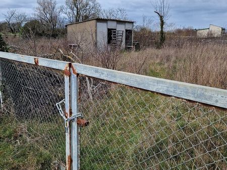 terrain agricole