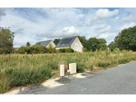 vente terrain 593 m² saumur (49400)