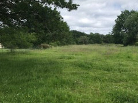 terrain à bâtir à vendre à la celle les bordes