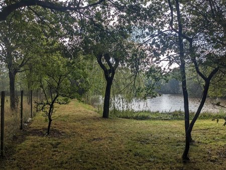 etang avec bois et prairie