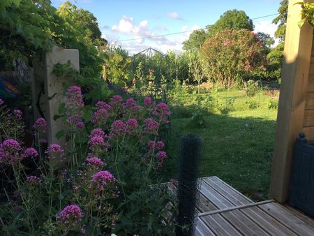 maison charentaise au calme sans être isolée