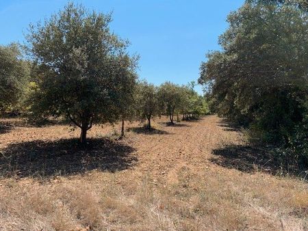 terrain 755 m² grignan