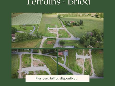 terrain briod 1019 m2