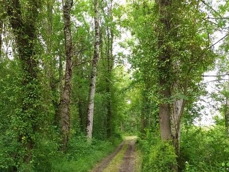 lot de 3 terrains zone naturelle neac  les artigues de lussac