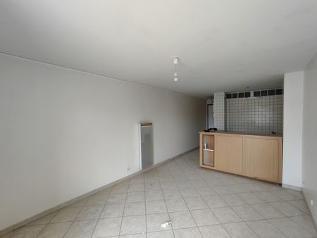 studio 1 pièce 24 m²