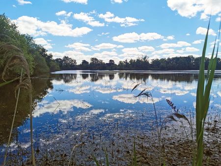 propriété de chasse  pêche et agrément 22 hectares